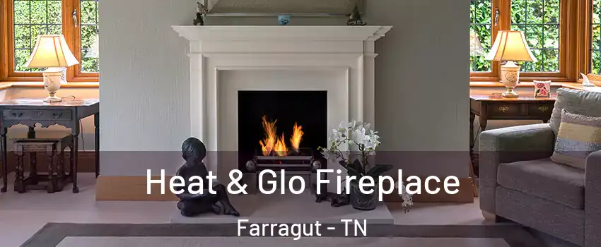  Heat & Glo Fireplace Farragut - TN