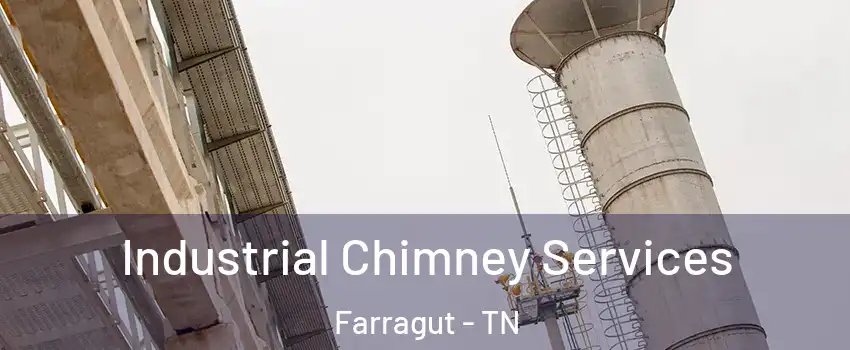  Industrial Chimney Services Farragut - TN