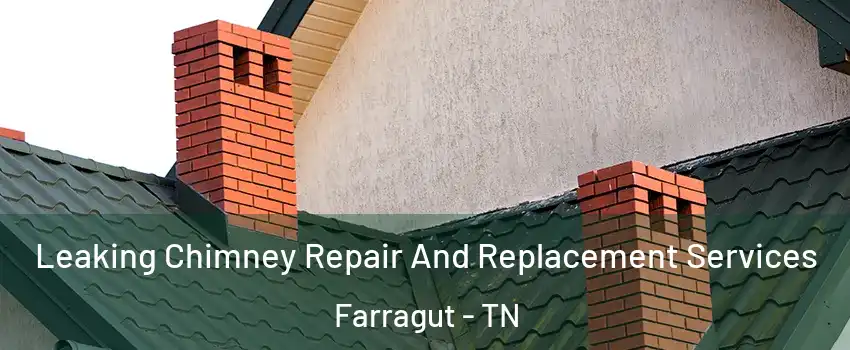  Leaking Chimney Repair And Replacement Services Farragut - TN