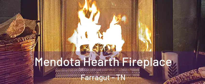  Mendota Hearth Fireplace Farragut - TN