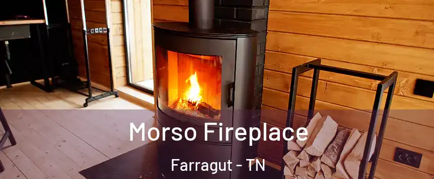  Morso Fireplace Farragut - TN