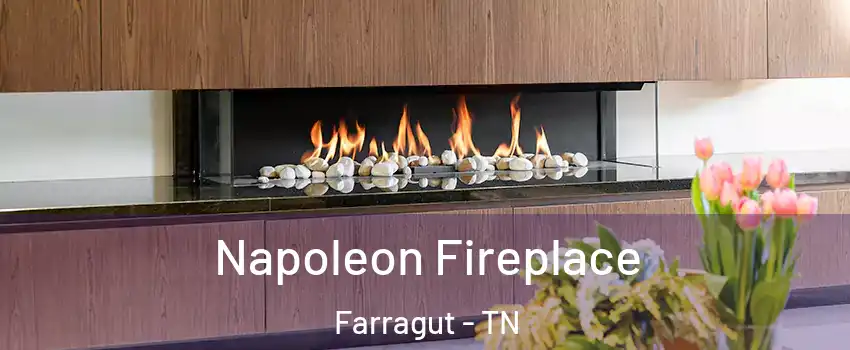  Napoleon Fireplace Farragut - TN