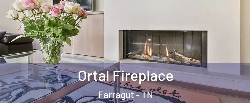  Ortal Fireplace Farragut - TN