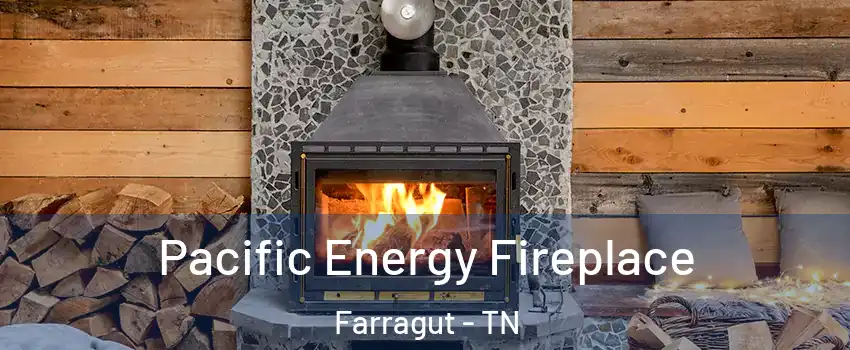  Pacific Energy Fireplace Farragut - TN