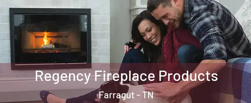  Regency Fireplace Products Farragut - TN